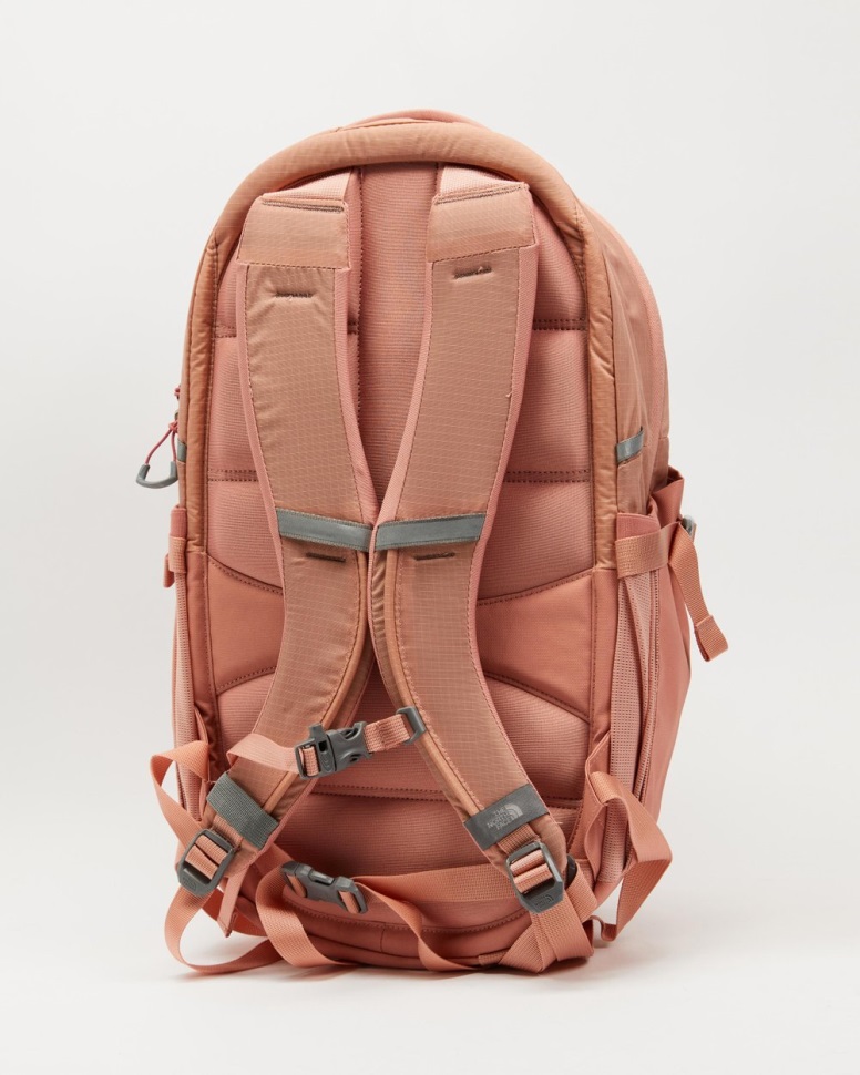 وجه الشمال فجر الاستطلاع