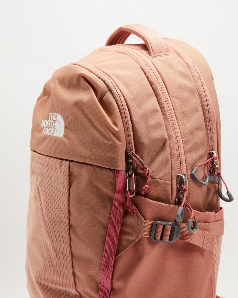 وجه الشمال فجر الاستطلاع